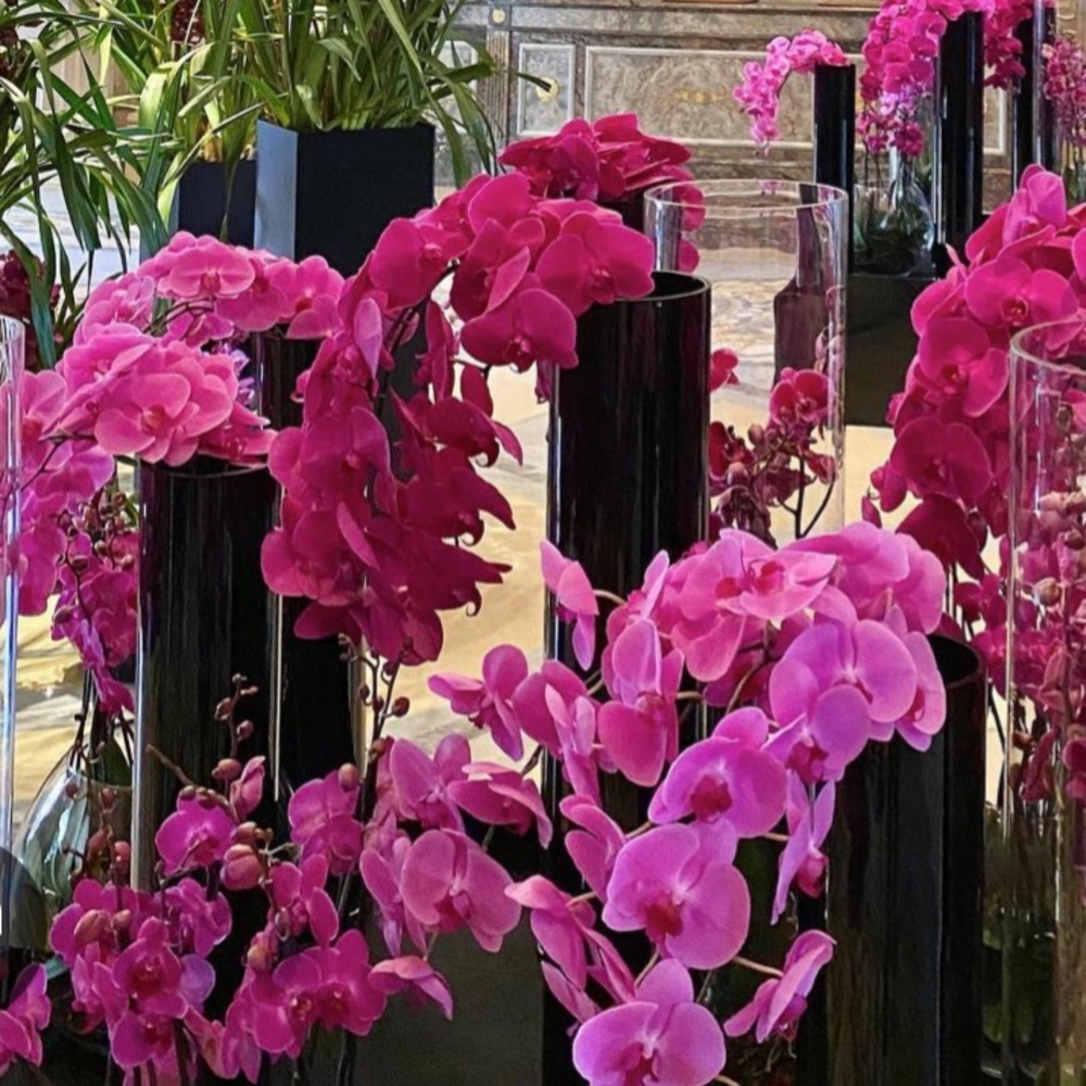 Meet your Posher, London